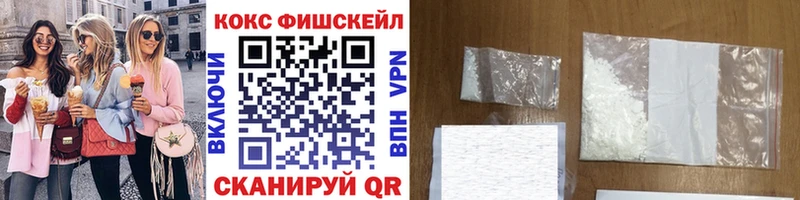 Cocaine FishScale  где купить   Нолинск 