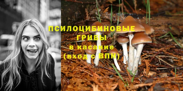 MESCALINE Нефтекумск