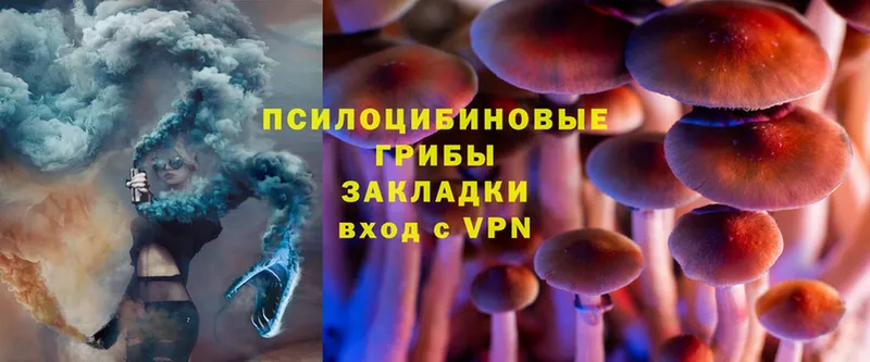 где можно купить   Нолинск  мега ТОР  Галлюциногенные грибы MAGIC MUSHROOMS 